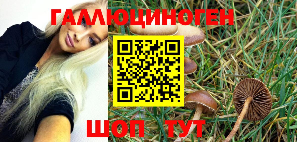 Кулебаки  Псилоцибиновые грибы Psilocybe  Вход с VPN 